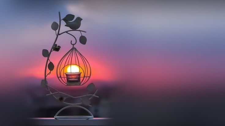 A decorative lantern with a bird ornament glowing at dusk